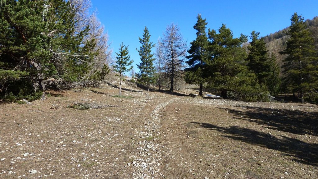pre_de_thorame_avril_2016_025.JPG