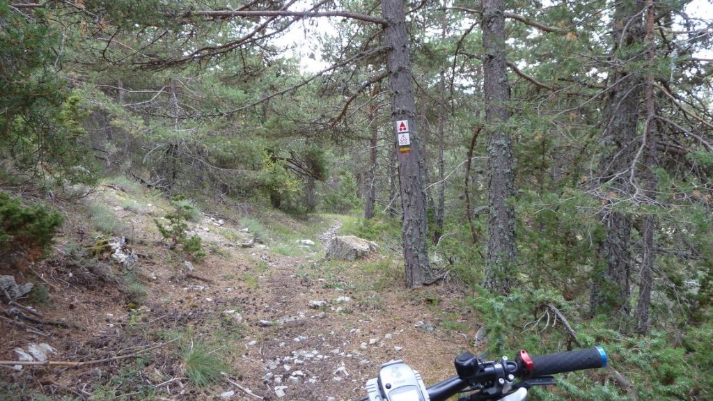 pre_de_thorame_fontanil_2012_036.jpg