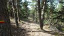 pre_thorame_2018_039.JPG