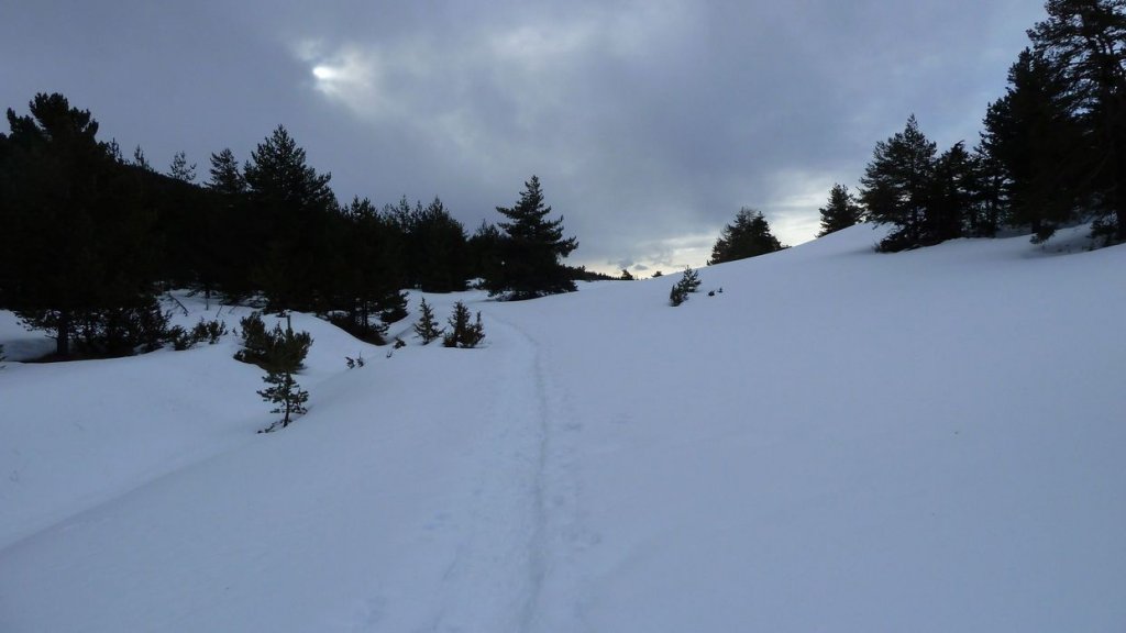 P1100939.JPG