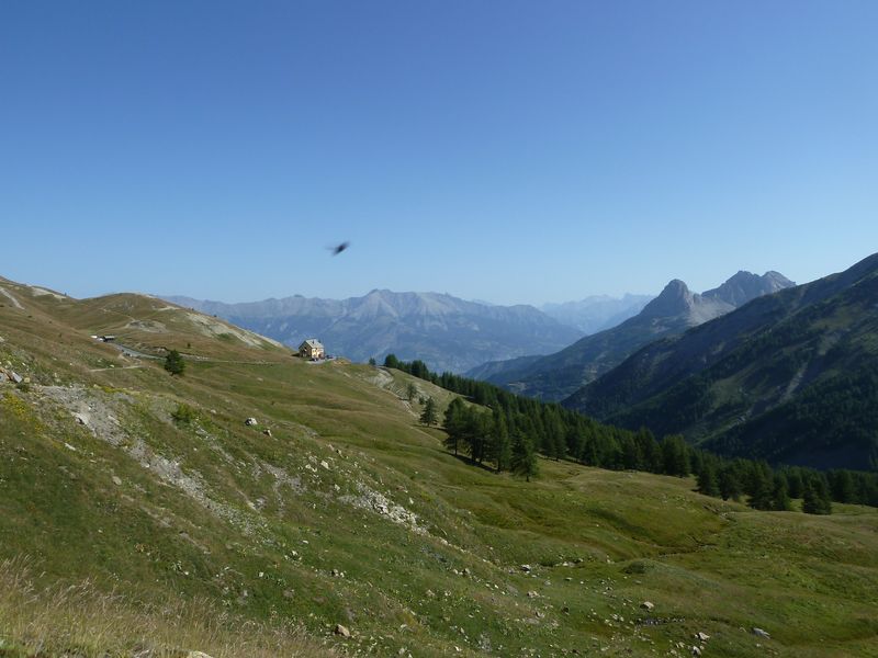 baisse_prenier_2011_013.jpg