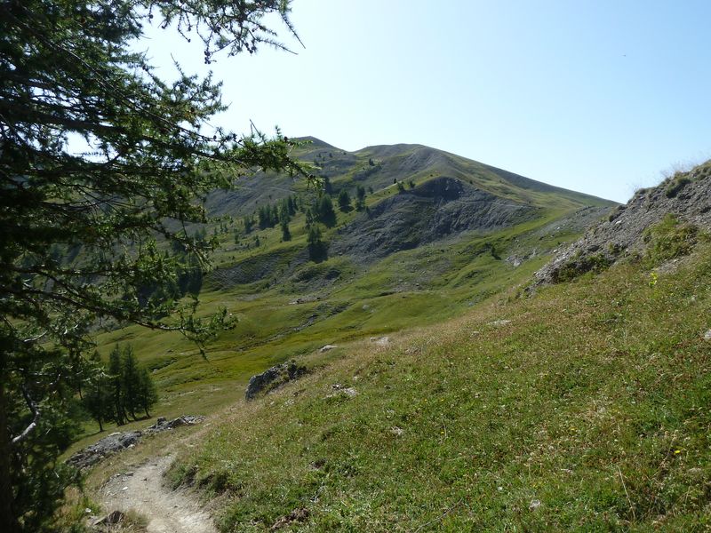 baisse_prenier_2011_021.jpg