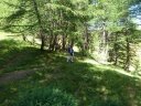 baisse_prenier_2011_055.jpg
