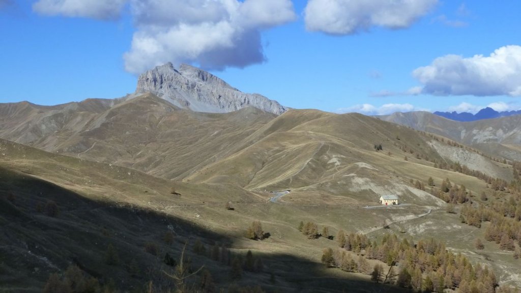 P1100526.JPG