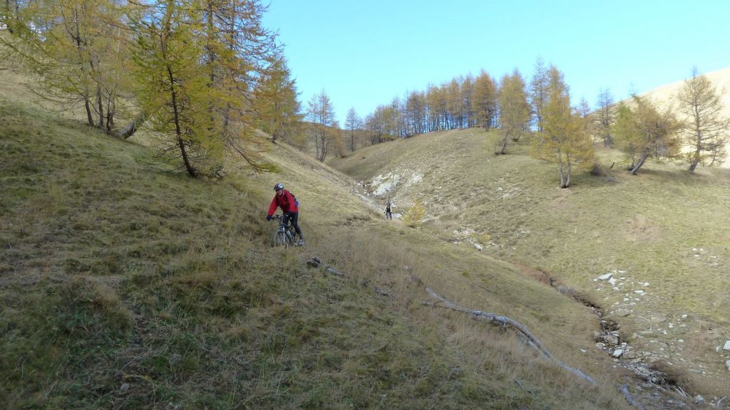 P1100544.JPG