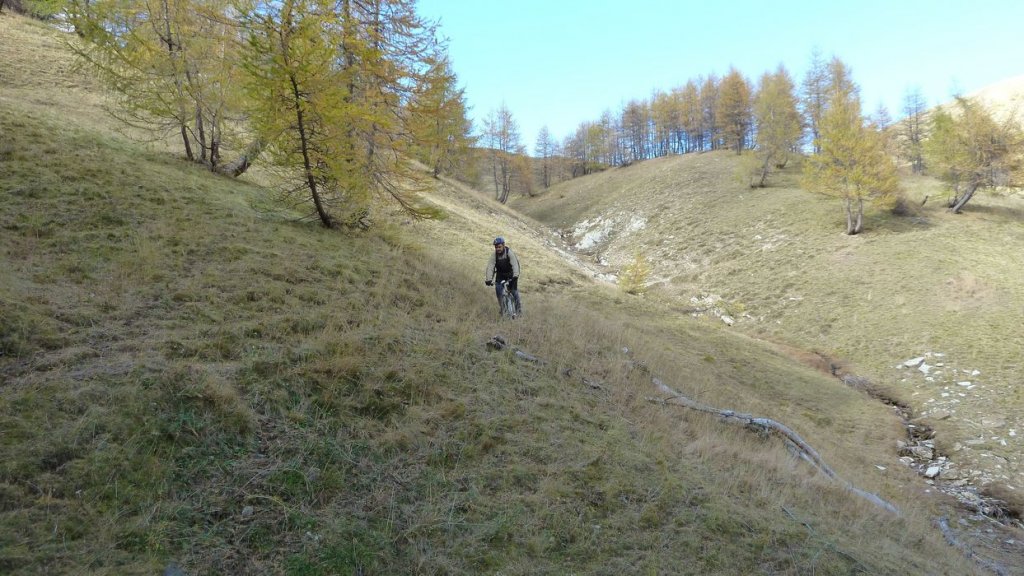 P1100545.JPG