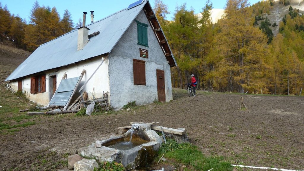P1100553.JPG