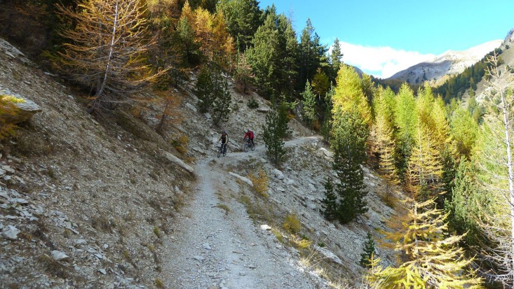 P1100564.JPG