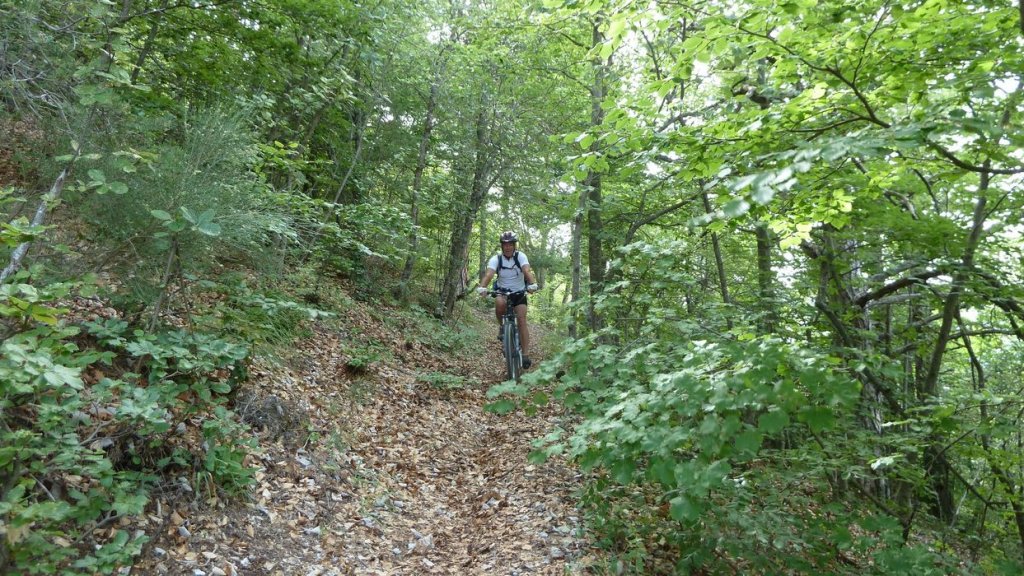 puy_de_rent_2013_122.jpg