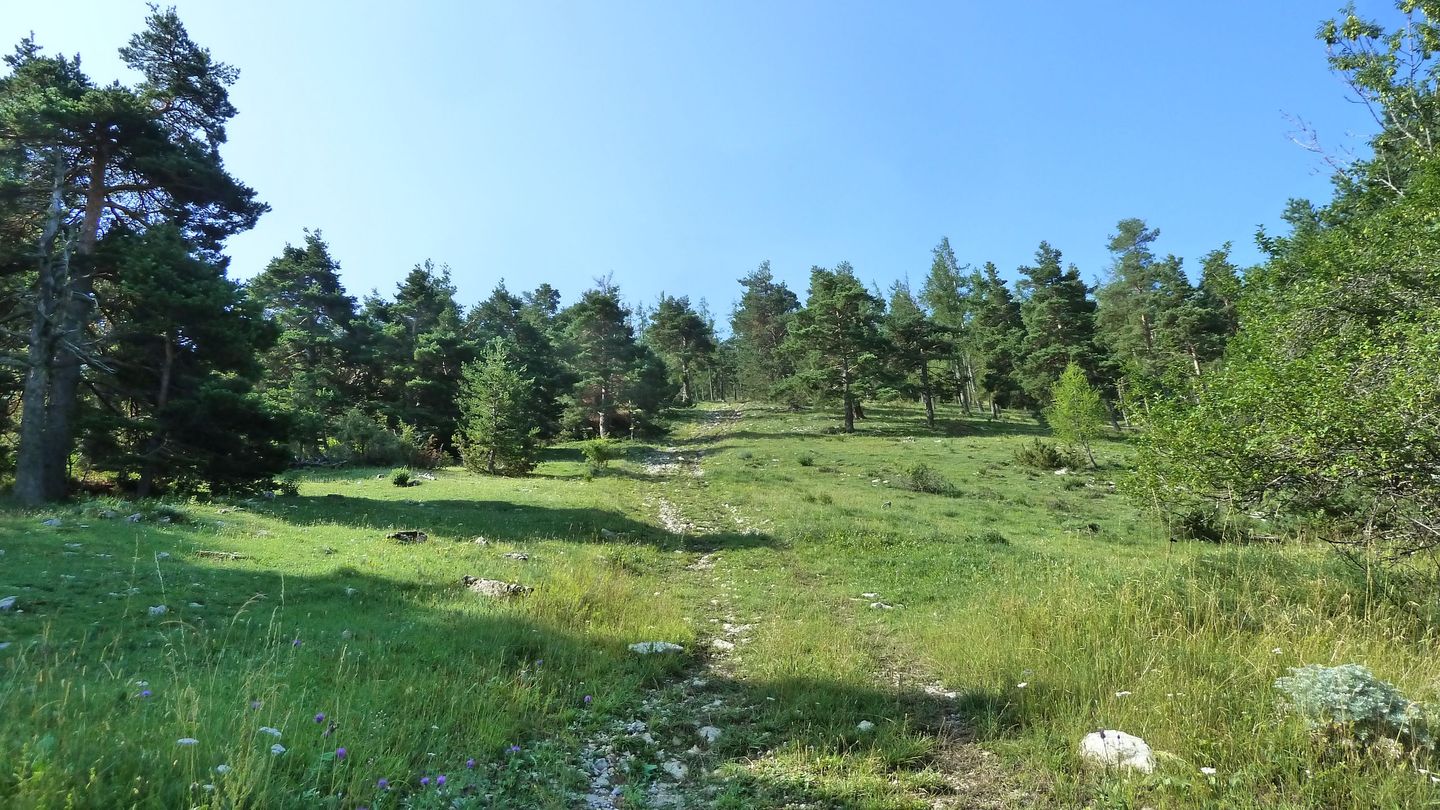 puy_rent_aout_2018_009.JPG
