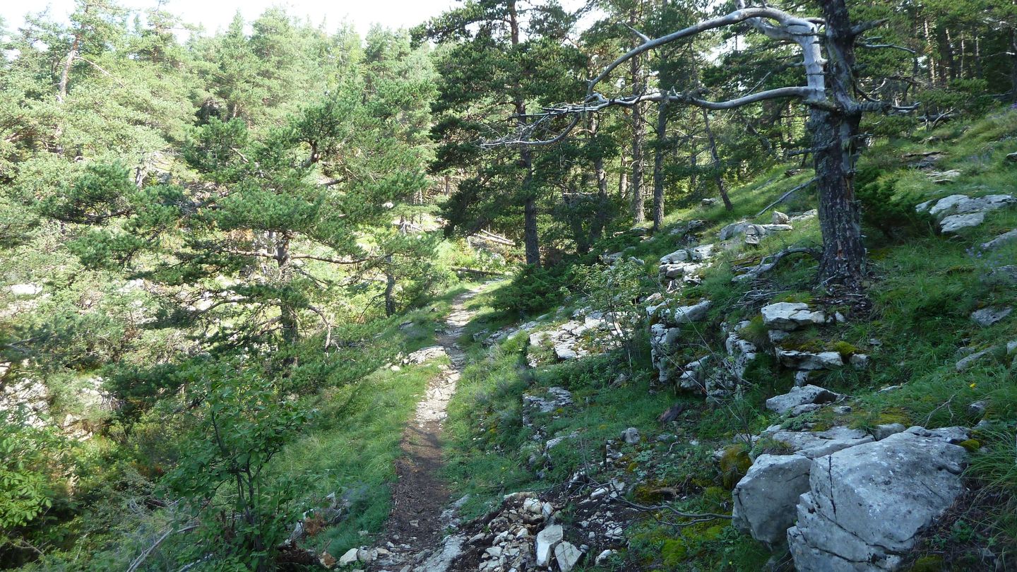 puy_rent_aout_2018_051.JPG