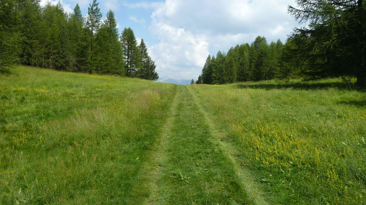 puy_rent_aout_2018_065.JPG