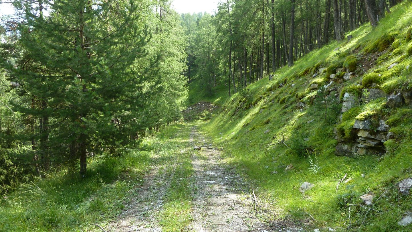 puy_rent_aout_2018_081.JPG