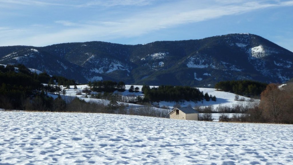 raquette_cordoeil_2012_098.jpg