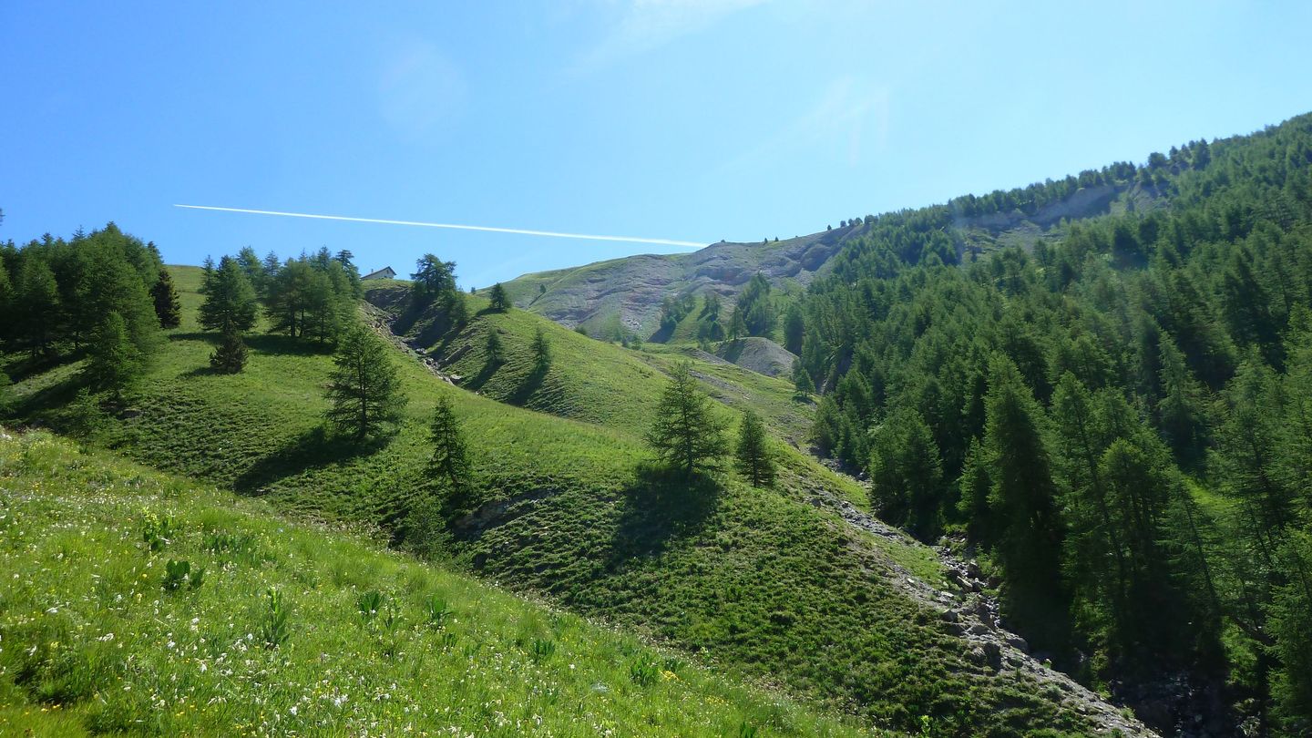 ravin_des_pres_boucheiranc_juin_2017_39.JPG