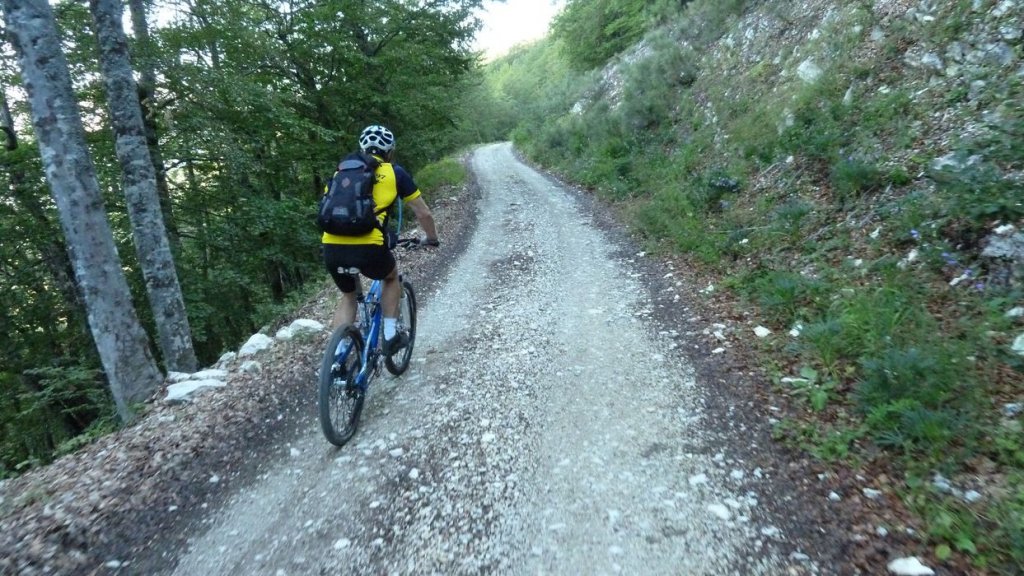 ravin_du_puy_2013_056.jpg