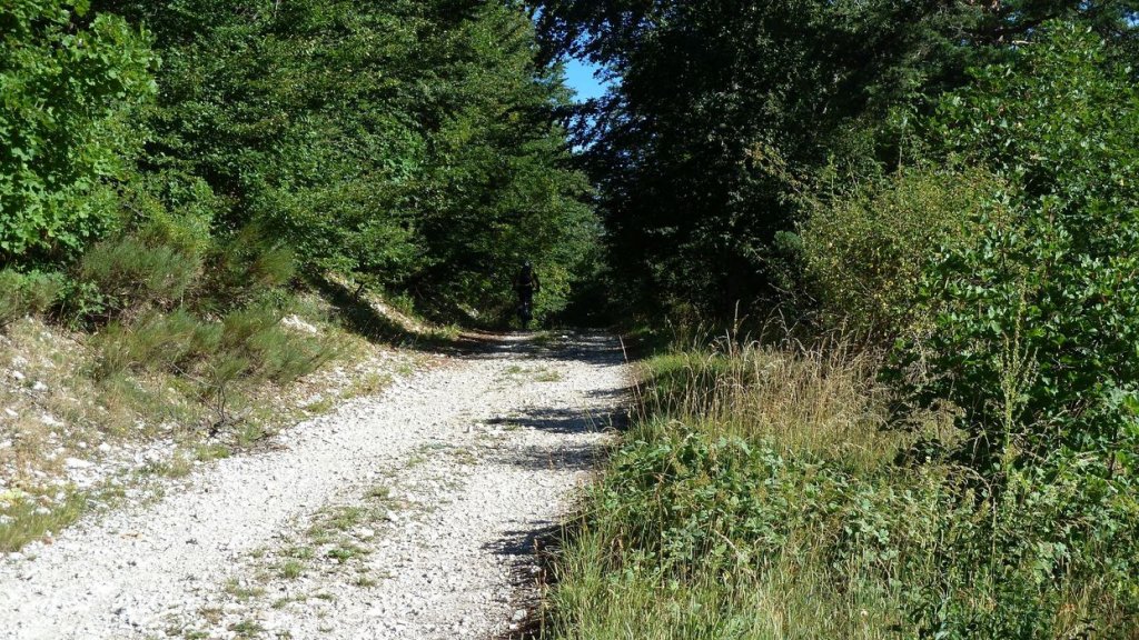 ravin_du_puy_2013_060.jpg