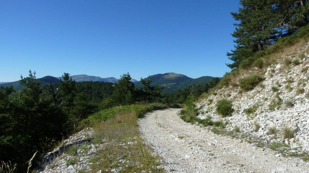 ravin_du_puy_2013_088.jpg