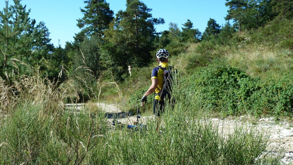 ravin_du_puy_2013_094.jpg