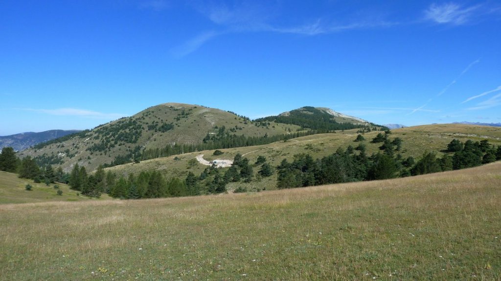 ravin_du_puy_2013_116.jpg