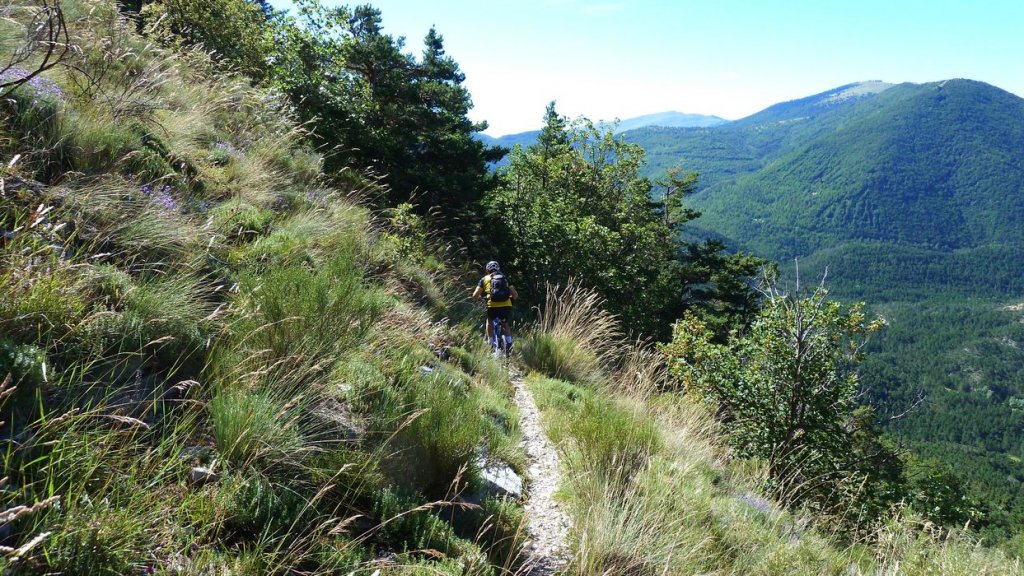 ravin_du_puy_2013_148.jpg