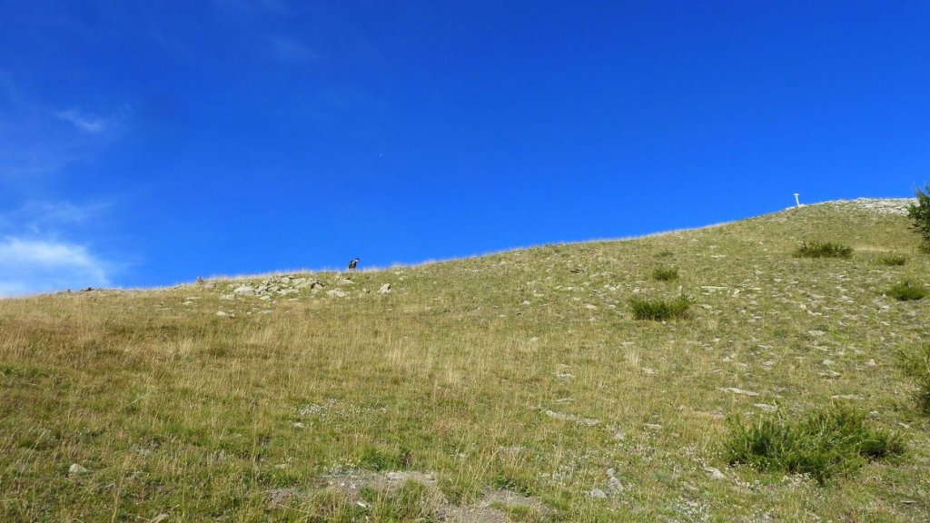 rochecline_aout_2015_193.JPG