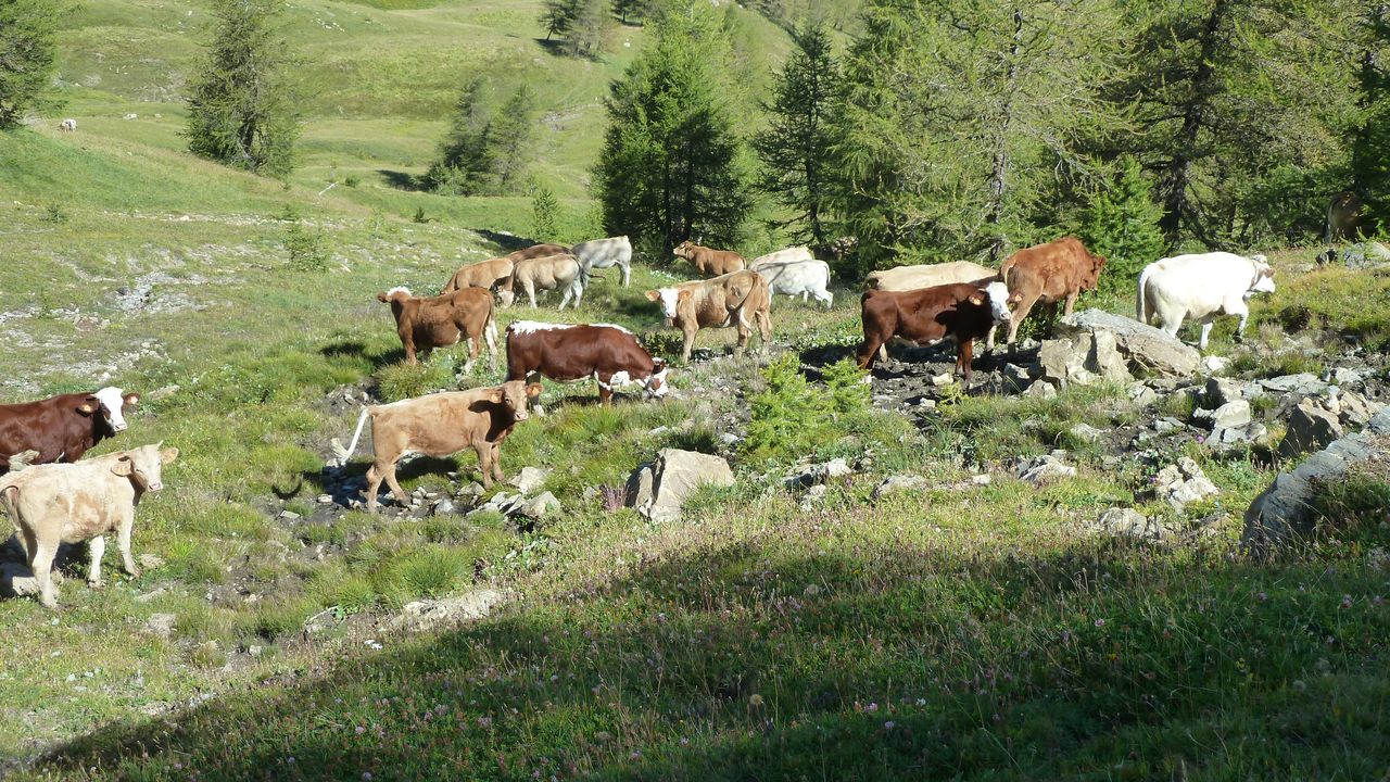 rochegrand_aout_2016_085.JPG