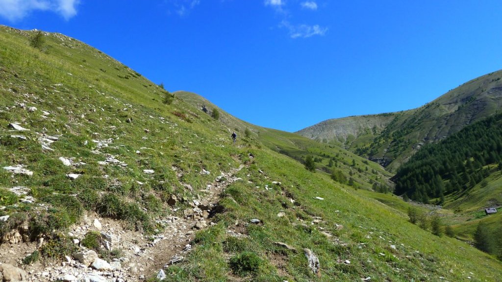 rougnouse_2013_088.jpg