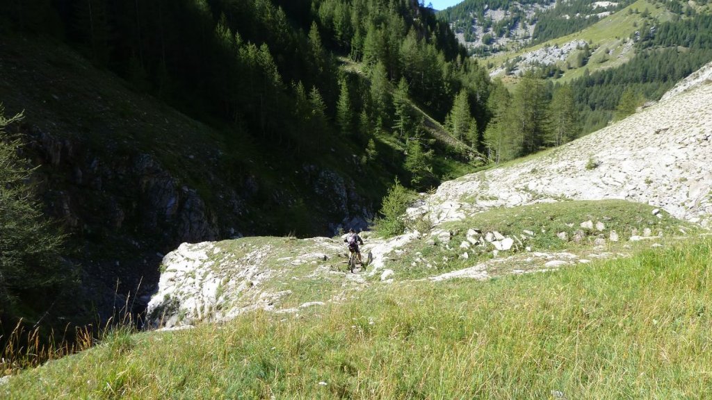 rougnouse_2013_100.jpg