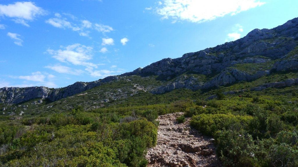 sainte_victoire_juin_2013_200.jpg