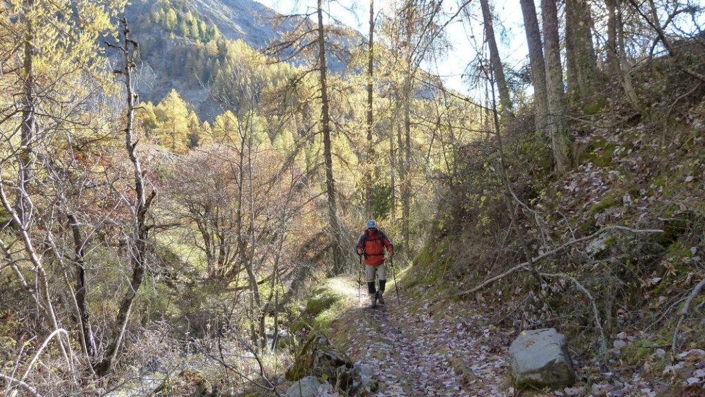 cabane_sangraure_2012_006.jpg