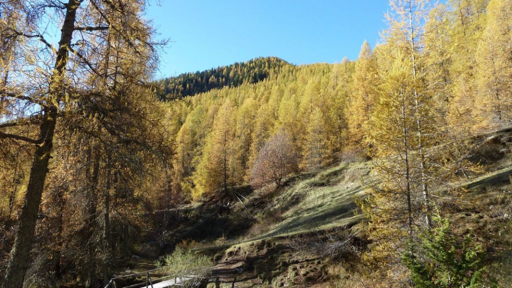 cabane_sangraure_2012_012.jpg