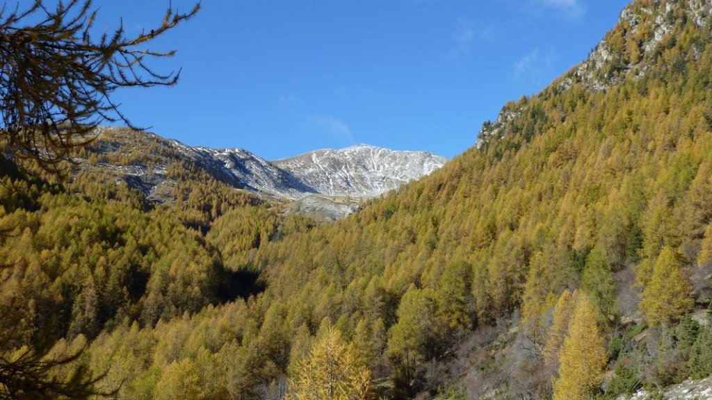 cabane_sangraure_2012_032.jpg
