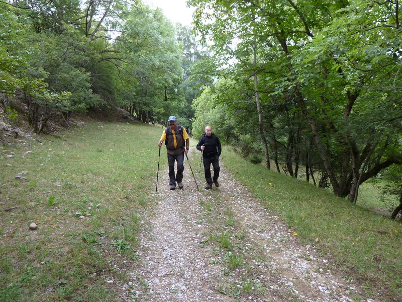 sellanche_2011_005.jpg