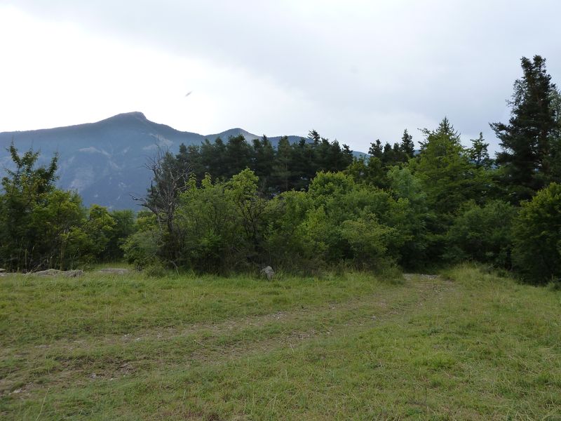 sellanche_2011_023.jpg
