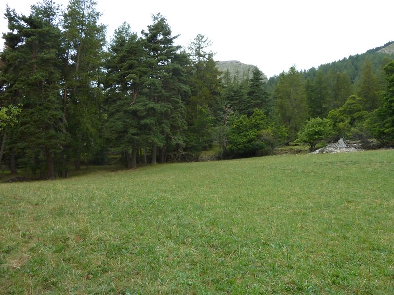sellanche_2011_029.jpg