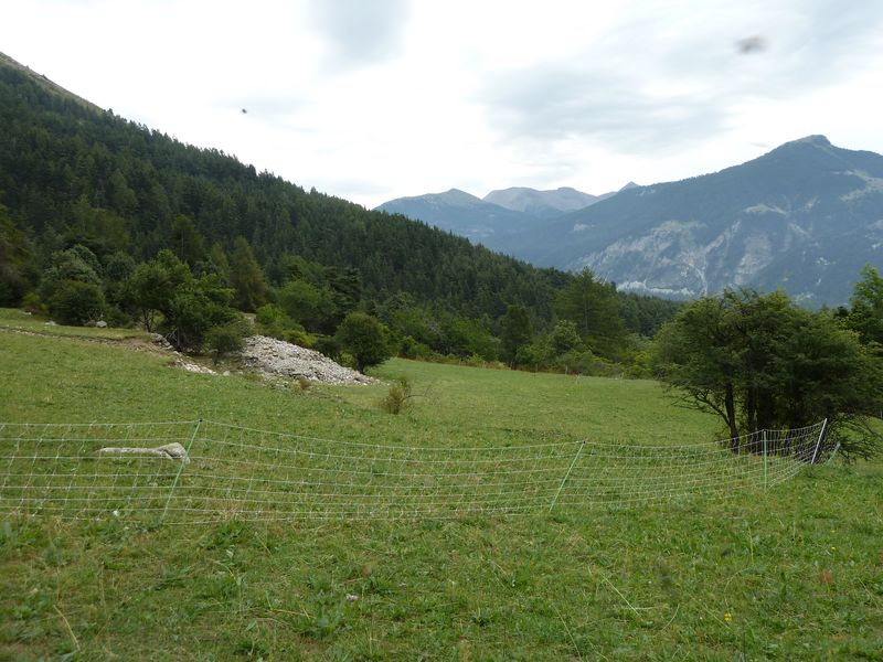 sellanche_2011_047.jpg