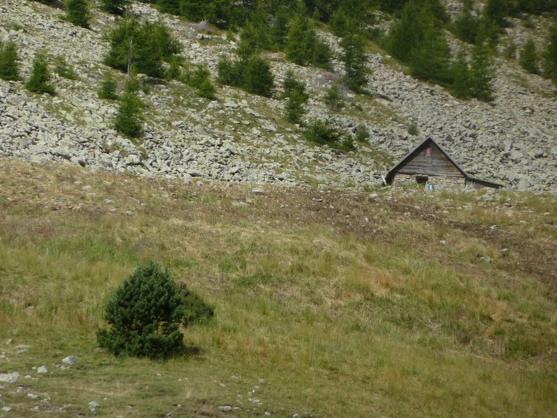 sellanche_2011_081.jpg