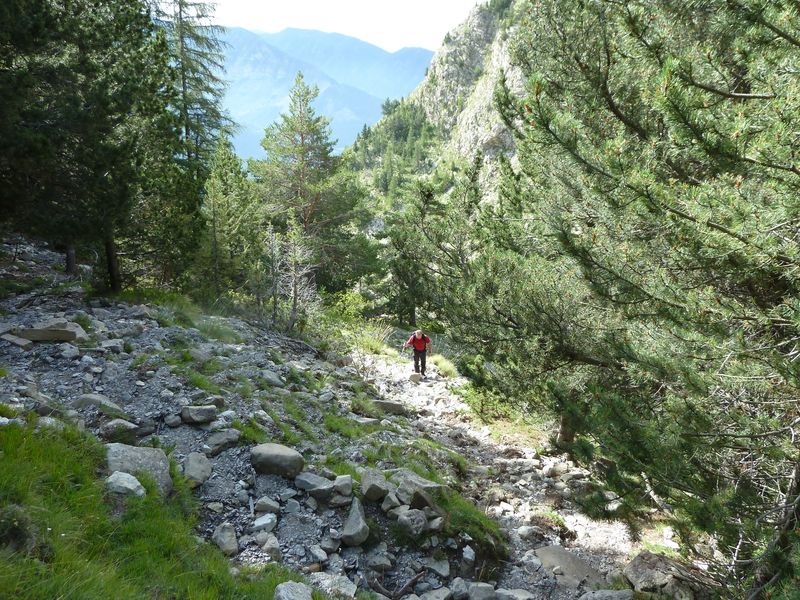sellanche_2011_083.jpg