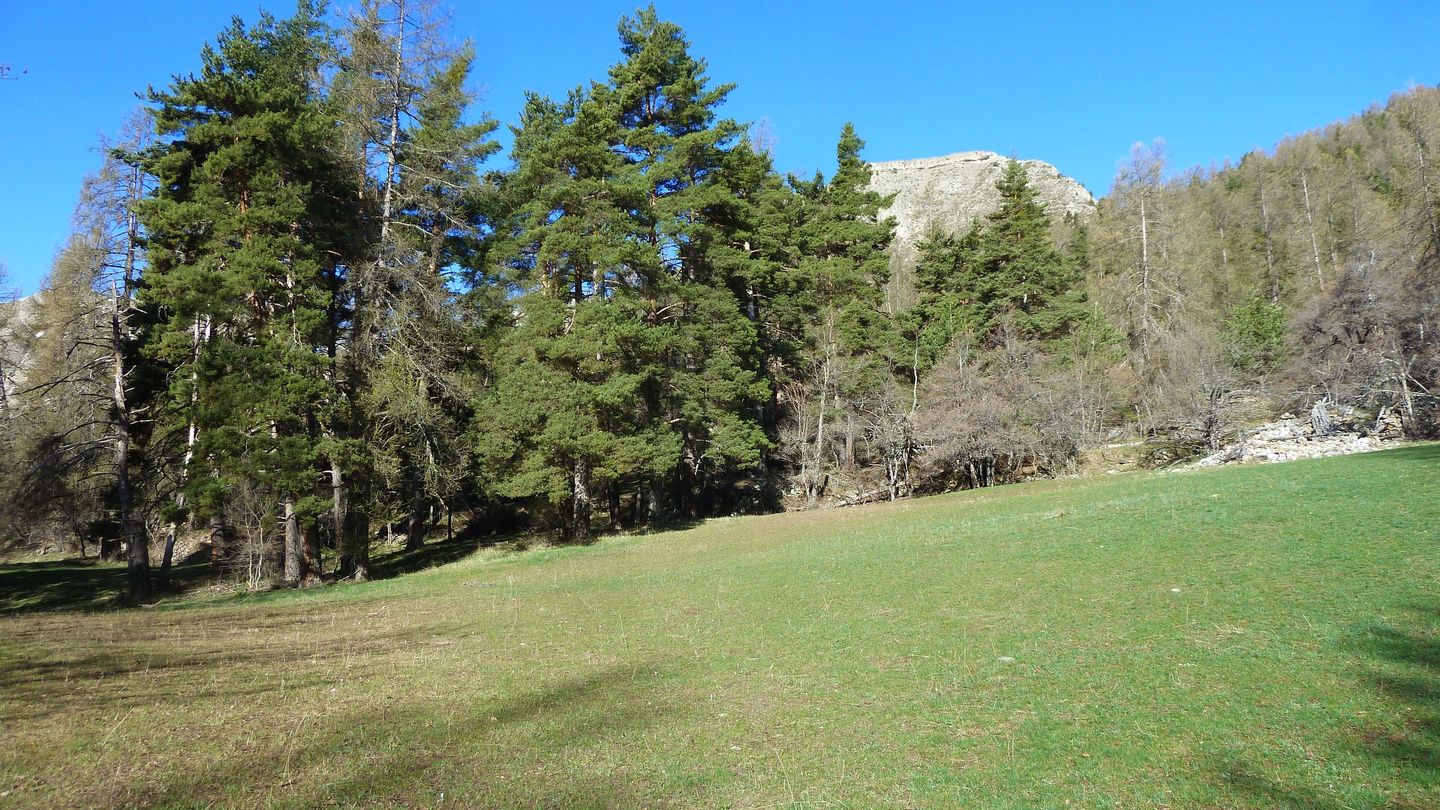 la_sellanche_avril_2018_015.JPG