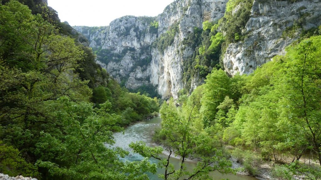 P1110350.JPG