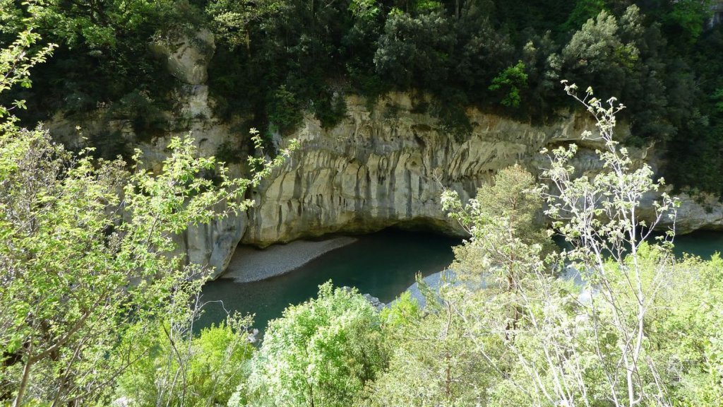 P1110377.JPG