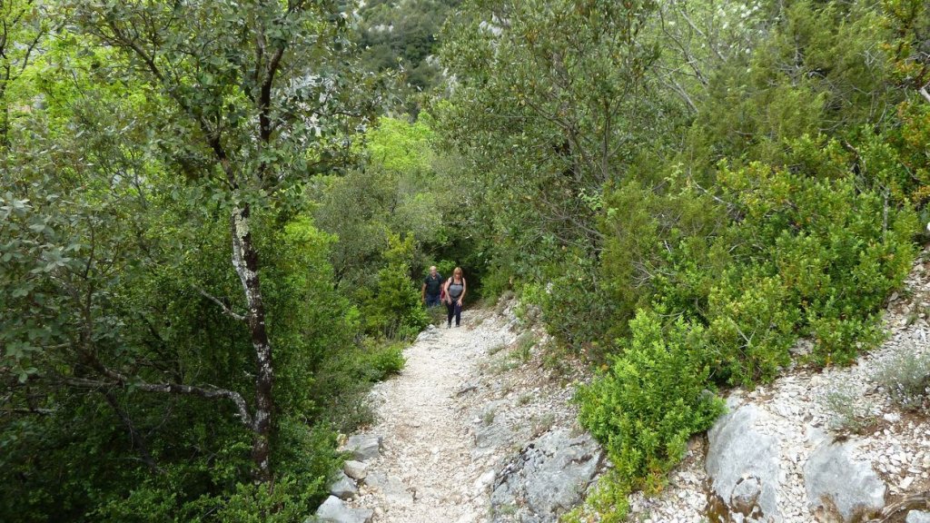 P1110389.JPG
