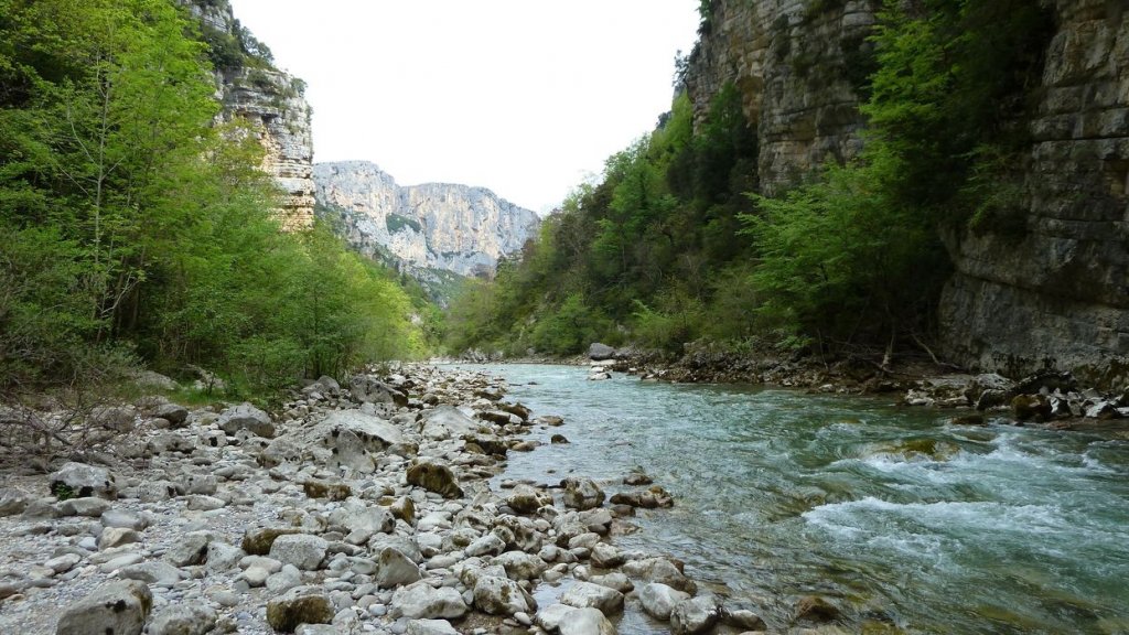P1110440.JPG