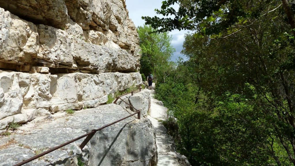 P1110443.JPG