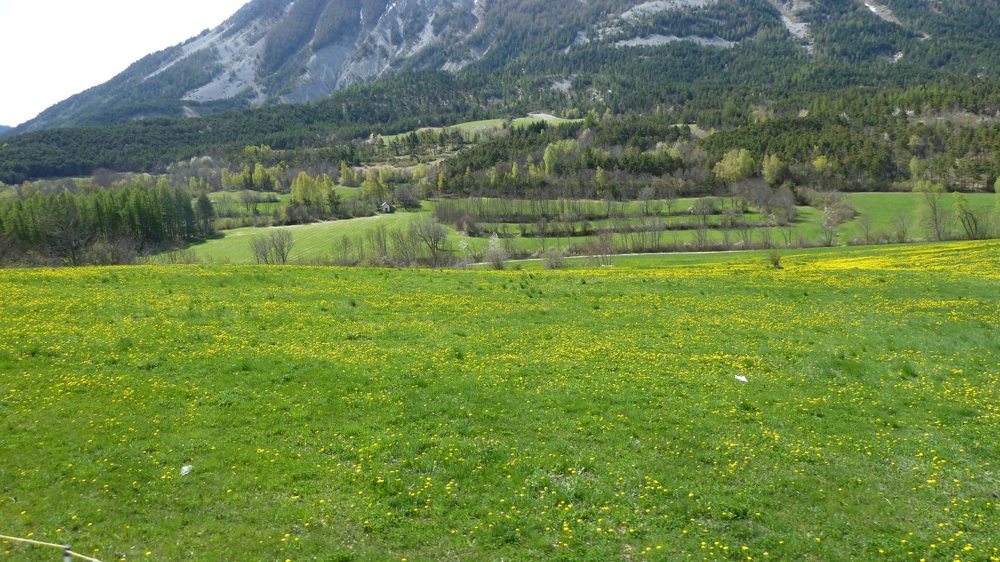 col_de_seoune_avr_2017_091.JPG