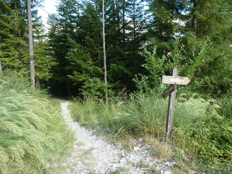 seoune_juillet_2011_017.jpg