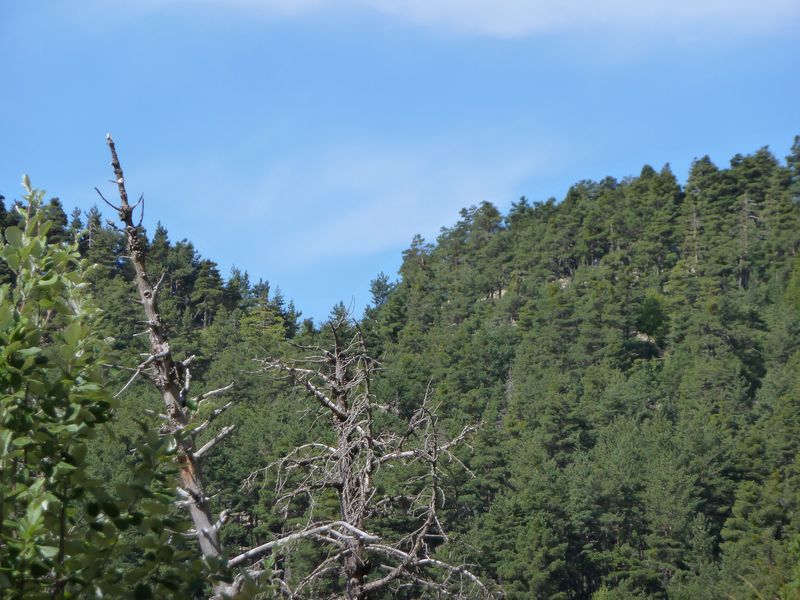 seoune_juillet_2011_029.jpg