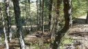 autour_thorame_oct_2011_065.jpg