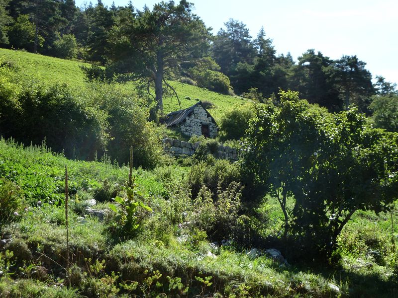 serre_carlet_2011_013.jpg
